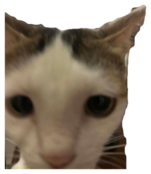 Sticker of Tutu, a white and grey cat, staring very closely into the camera